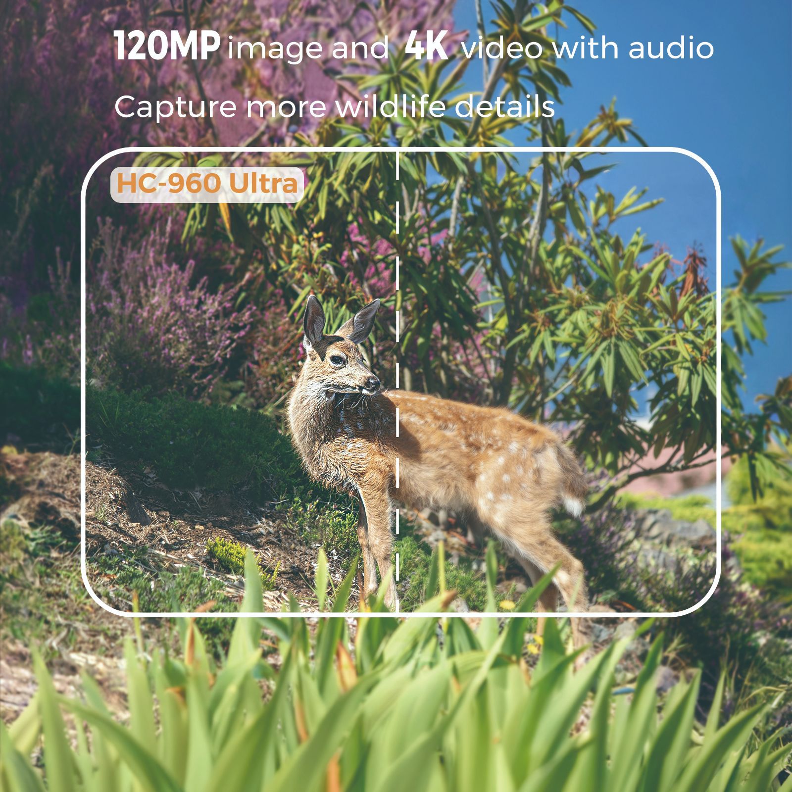 Vídeo 4k ao ar livre 120mp fot - Outdoor Hunting Videos avaliação e preço