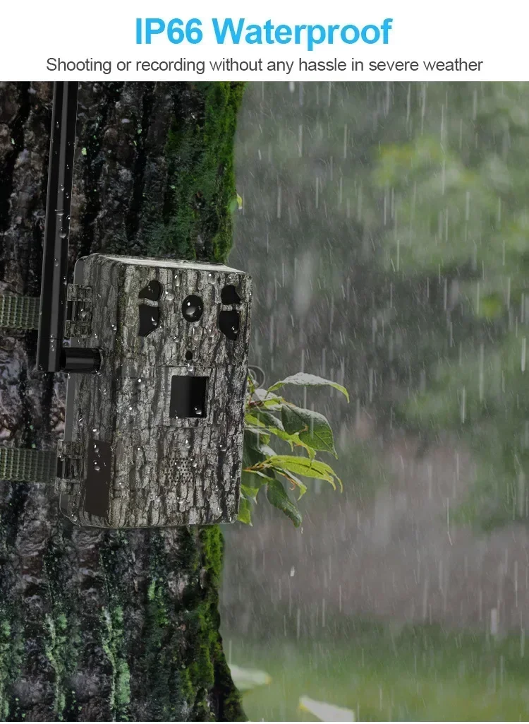 Câmera de caça solar, visão re - Outdoor Hunting Videos avaliação e preço