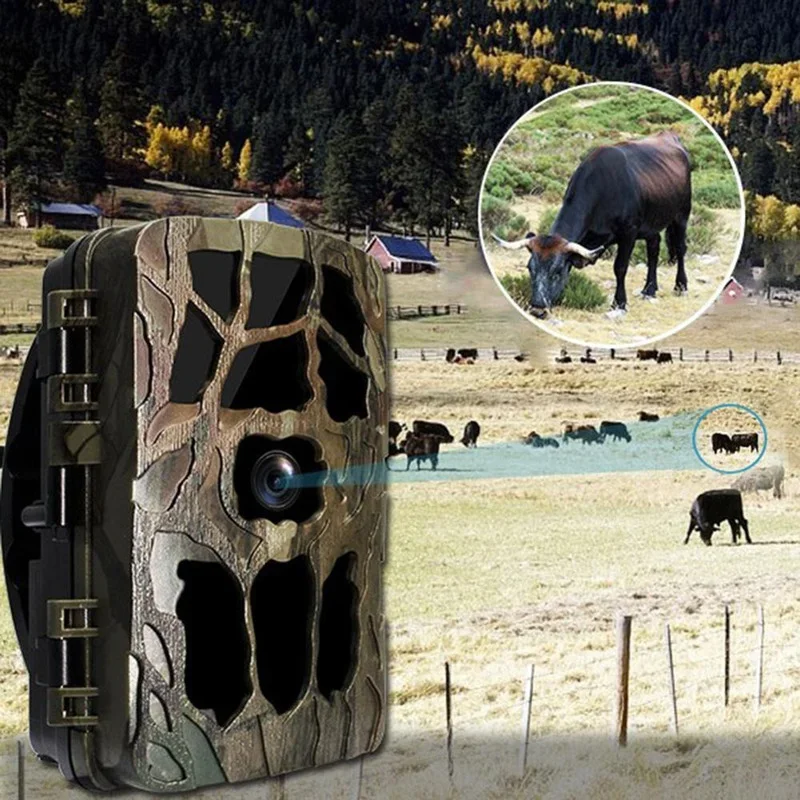 H982 IP66 à prova d'água 4K in - Outdoor Hunting Videos avaliação e preço